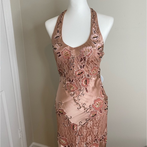 Sue Wong Blush Floral Lace Maxi Dress - Picture 3 of 16